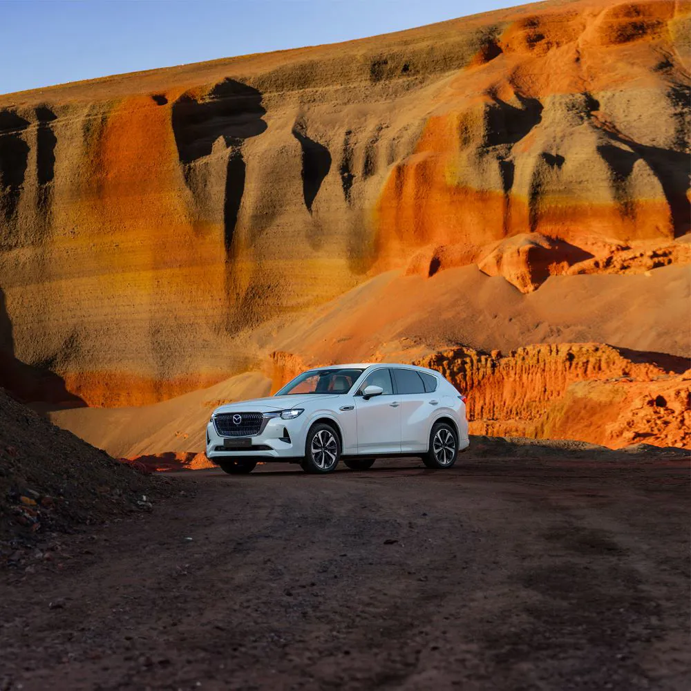 Cx 60 Jinba Ittai 3Rd Block 1000X1000jpg