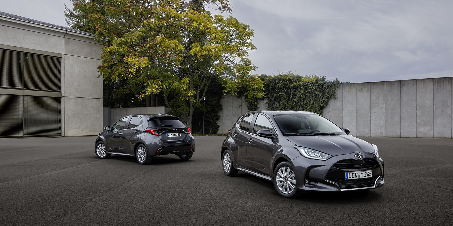 Mazda2 Hybrid 1800X900
